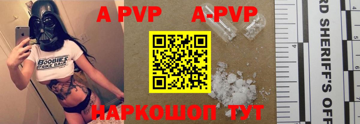 A PVP СК КРИС Тула
