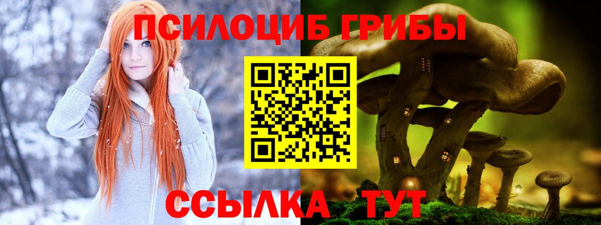 Псилоцибиновые грибы ЛСД Тула